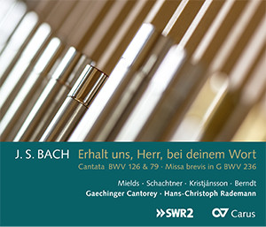 Bach: Erhalt uns, Herr, bei deinem Wort (Rademann) - CDs, Choir Coaches, Medien | Carus-Verlag